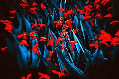 《永恒冬日》公布抢先体验发布日期以及更新路线图